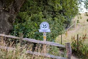 Download race photo <a href='Large/img_0846.jpg' class='lightbox-download'>here</a>